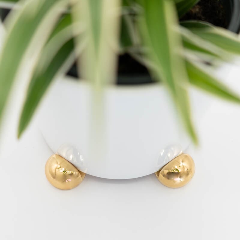 Ball Pot Paws Pot Paws