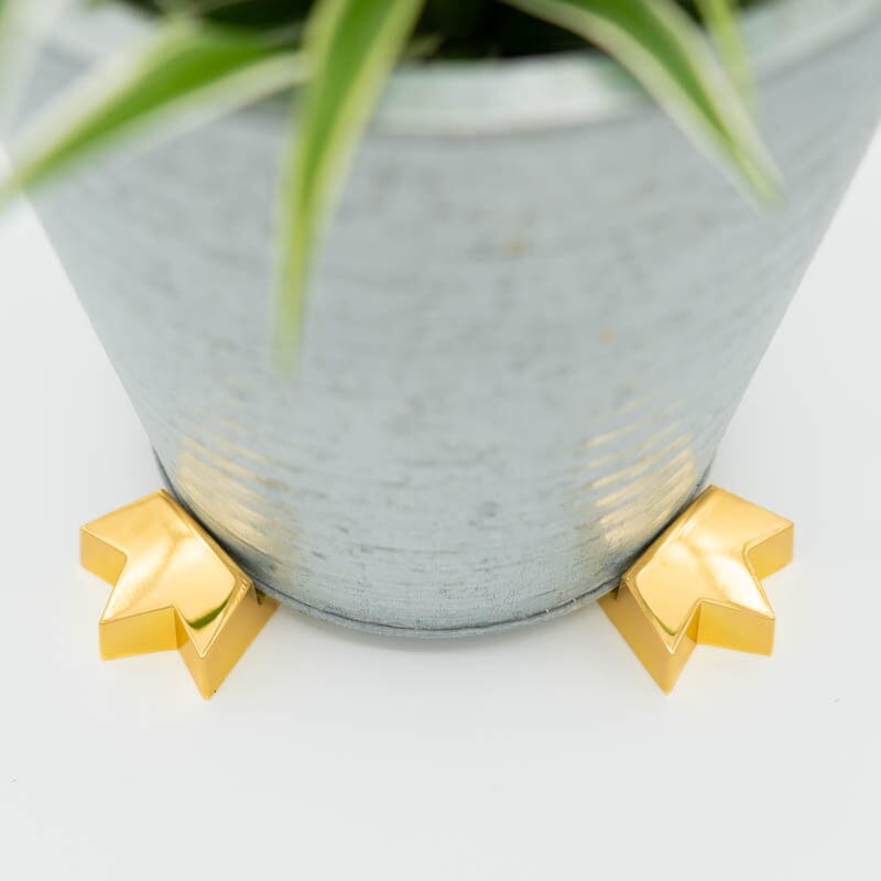 Grande Crown Pot Paws Grande Pot Paws