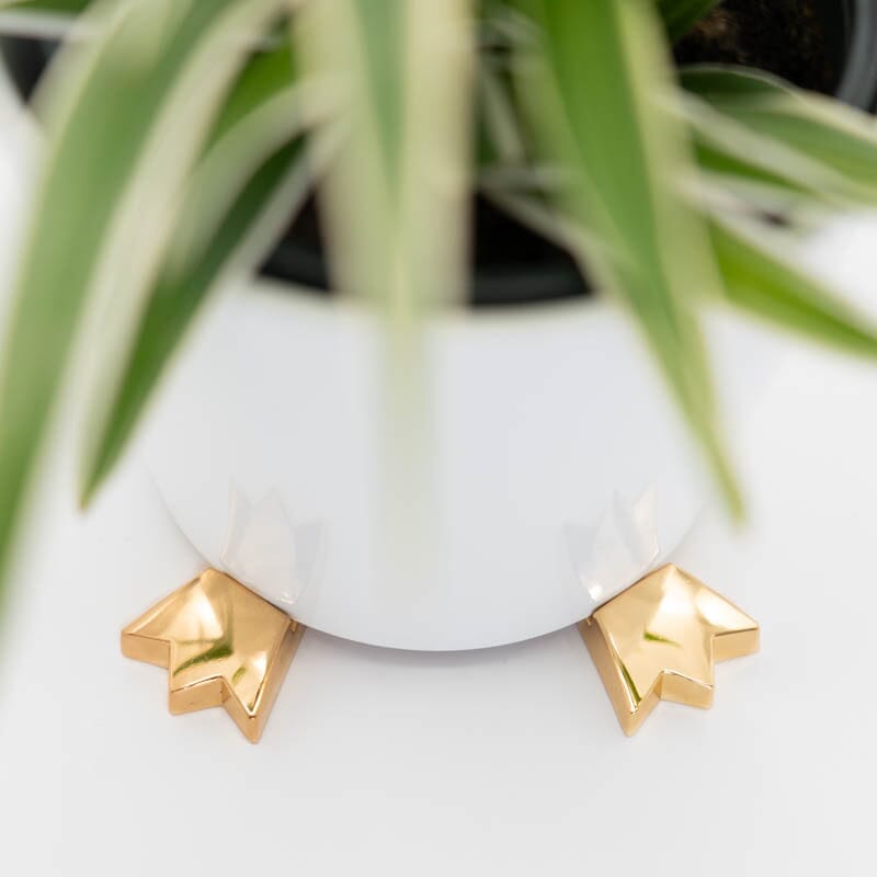 Crown Pot Paws Pot Paws