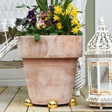 Grande Ball Pot Paws Grande Pot Paws